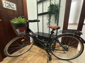 BIKE APARTMENT next to Cathedral and Laurel by Apartamentos Logrono org